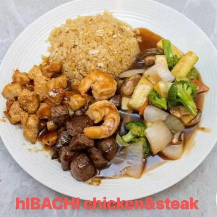 Hibachi platter with chicken, steak, shrimp, fried rice, and mixed vegetables in sauce at FUJI SAN Japanese restaurant in Vestal